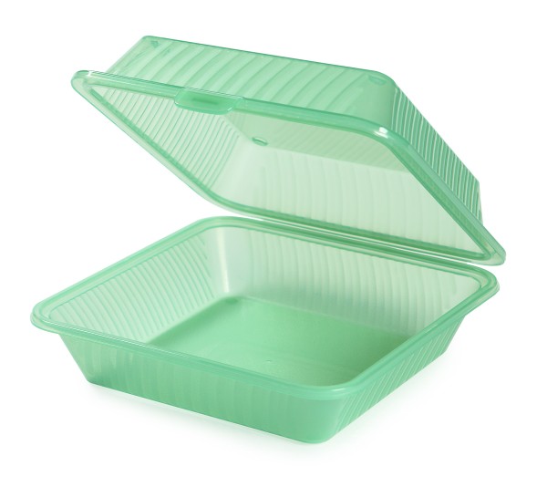 Menübox mit 1 Fach quadr. hoch grün 23 x 23,5 x 9,5 cm Eco Take out